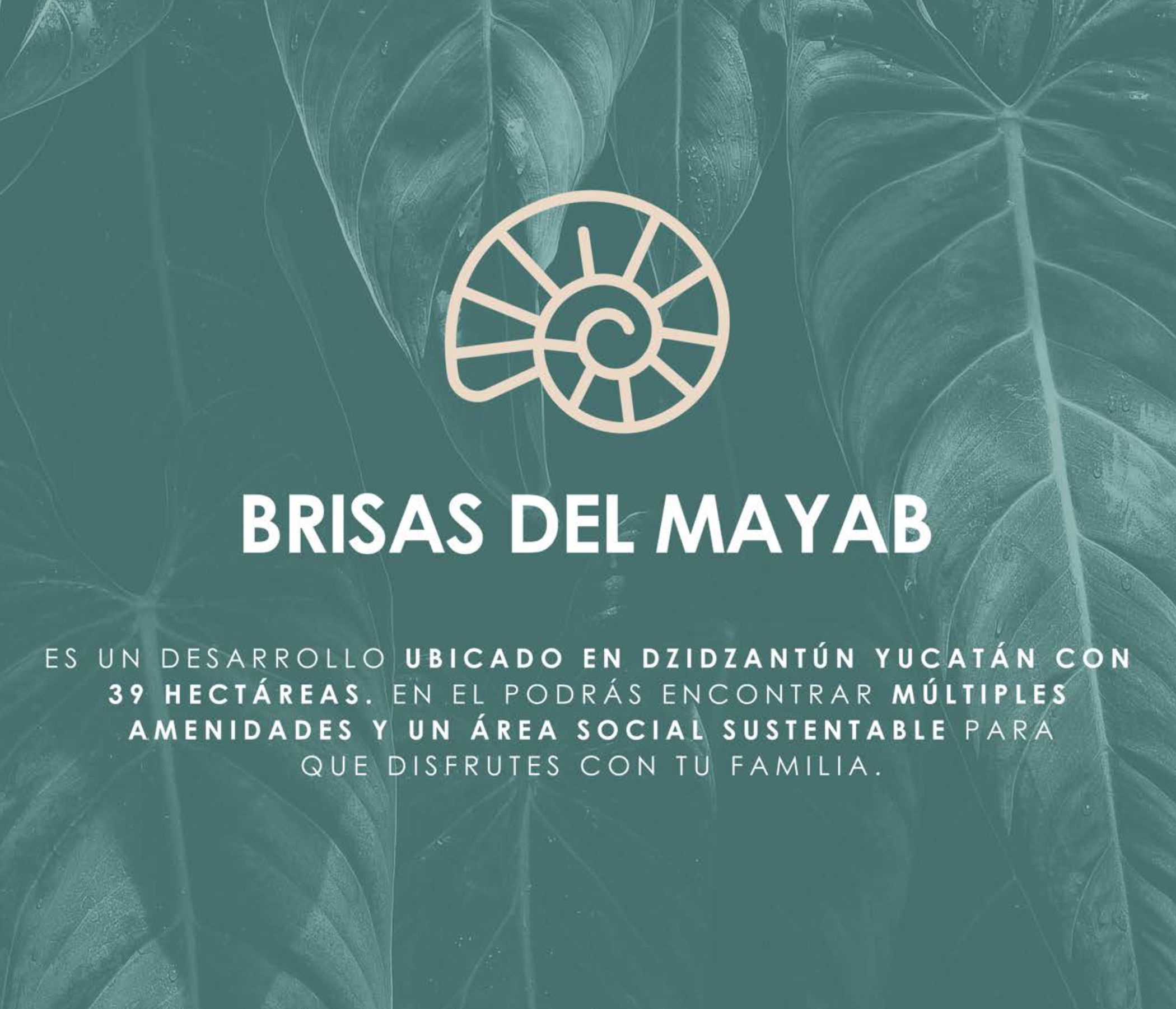 brisas del mayab carat