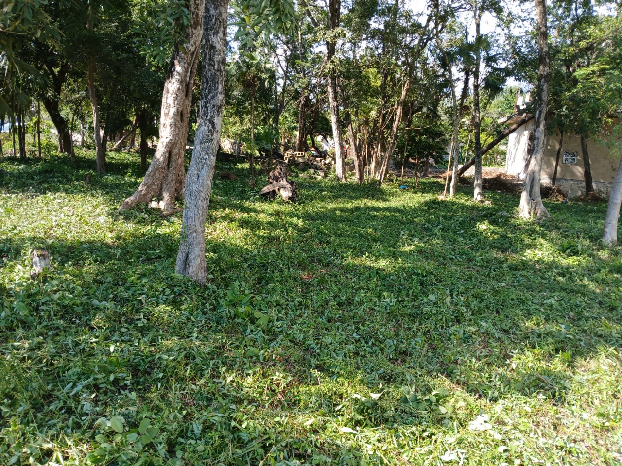 TERRENO TULUM005 TERRENO TULUM005