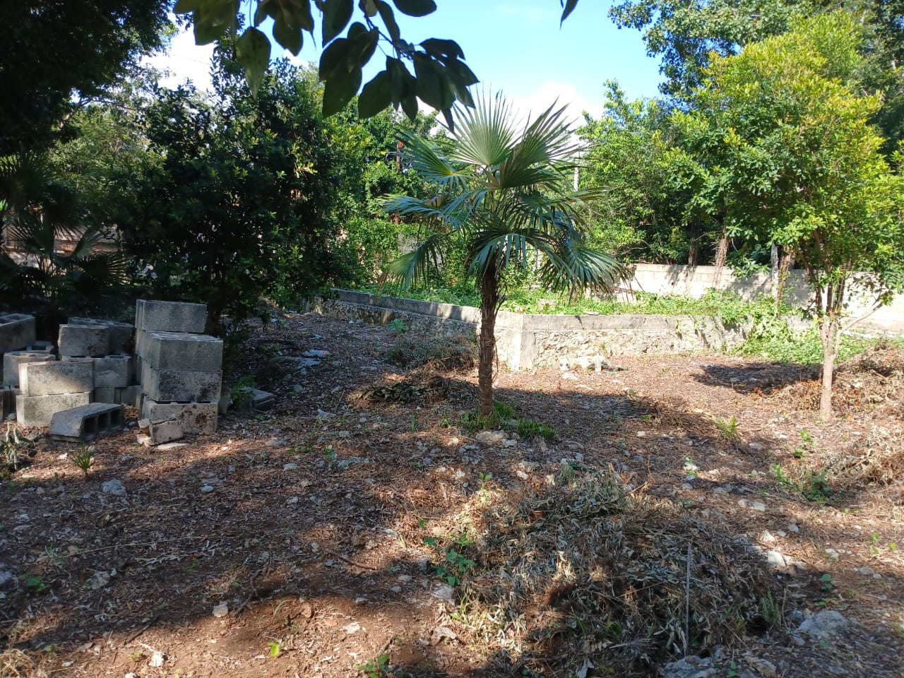 TERRENO TULUM006 TERRENO TULUM006